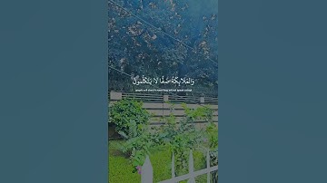 #تلاوة_القرآن #اكسبلور #القزابري #الرحمن #راحة_نفسية #surahalmulktilawat #لايك #surhmulk #دويتو