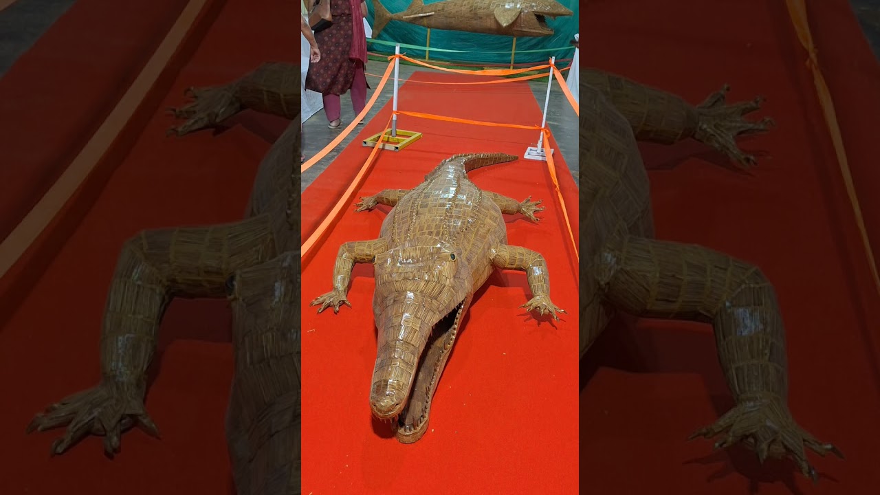 Adimali fest 2025 #shorts