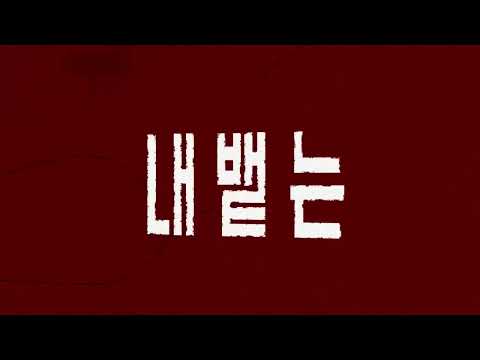 Lyric Motion Graphic - NMIXX엔믹스 “Papillon”