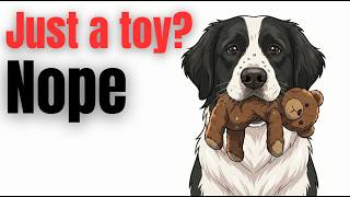 Famous Your Dog Brings Toys Because They Trust You—Here's Why Wealth