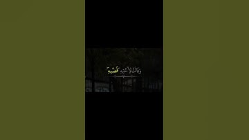 #ياسر_الدوسري #سورة_القصص #قران #quran