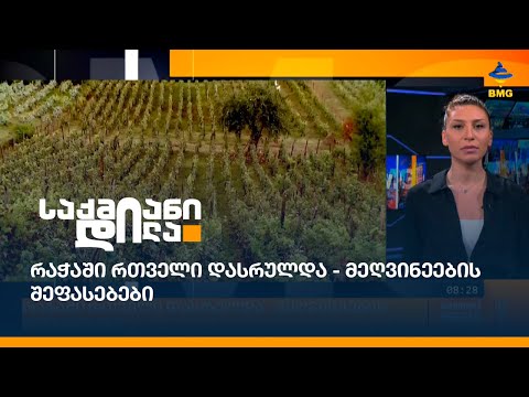 რაჭაში რთველი დასრულდა - მეღვინეების შეფასებები