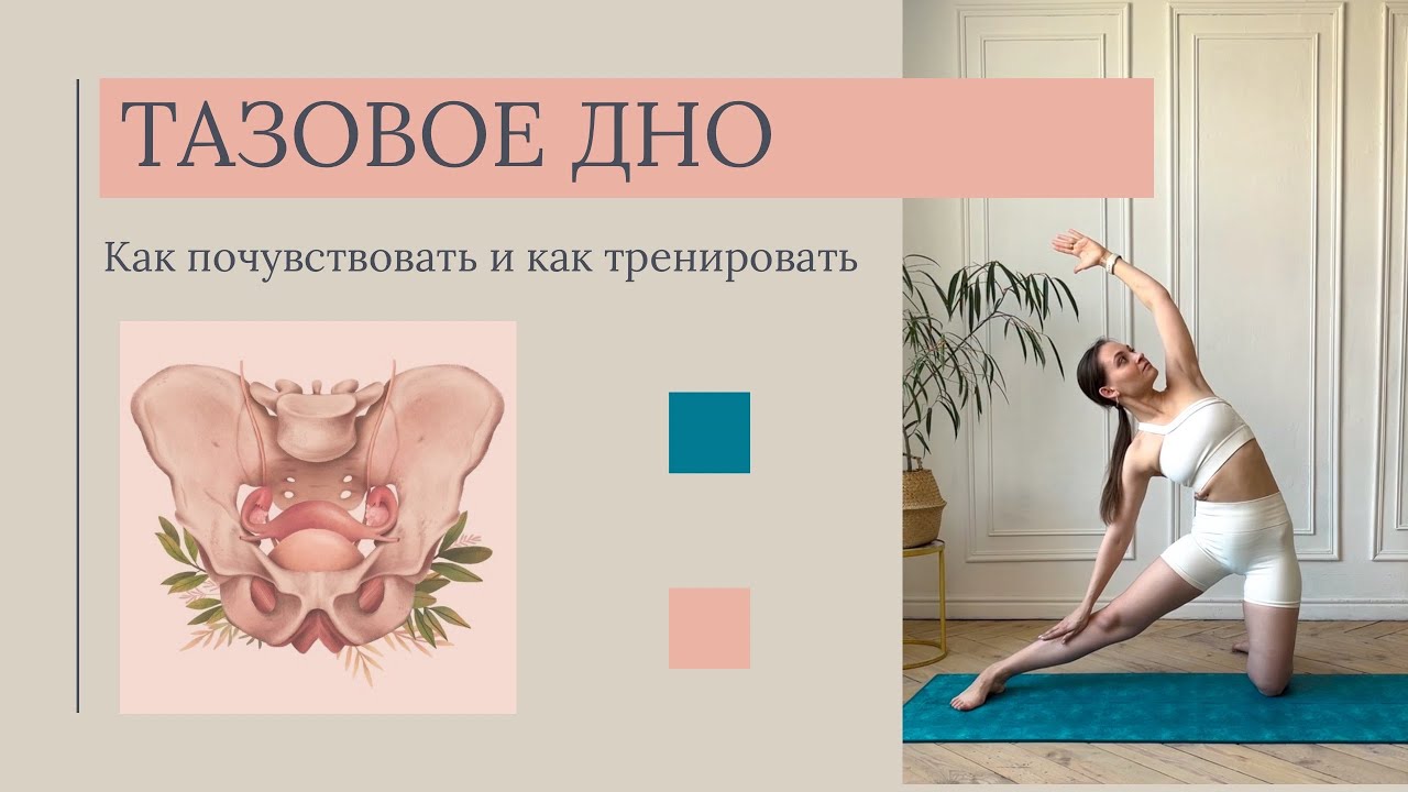 Мышцы тазового дна. Как найти, как тренировать