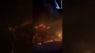 Beautiful Airline passengers witness devastating extent of Hawaii wildfires from the air Plant