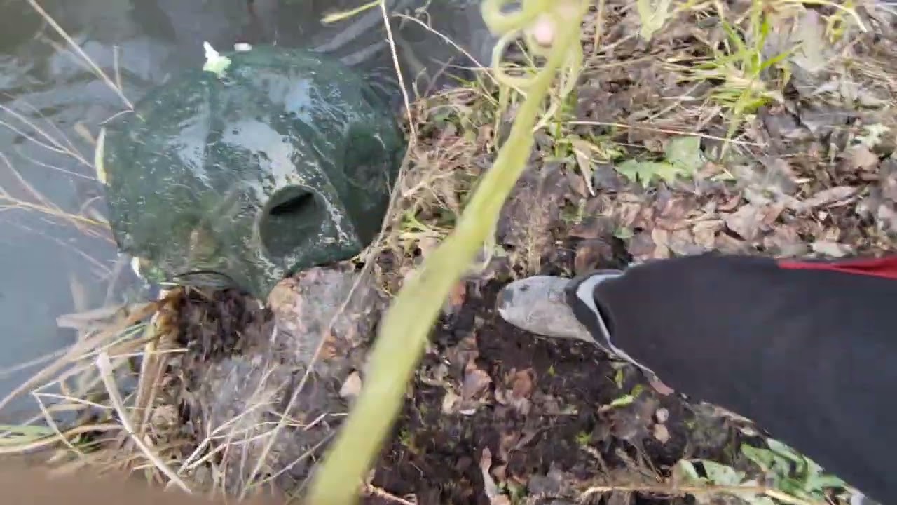 Проверяю раколовки и верши! Произвестковал ручей от железа.Дачный пруд на участке без пленки