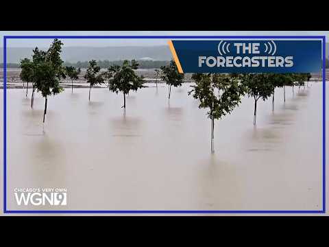 Polo's Soaking Rains | Edible Batteries | Lincoln Park Squirrels and more - The Forecasters