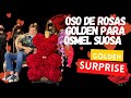 Oso de Rosas para Zar de la belleza El Concurso By Osmel Sousa Floristería Caracas Maracay valencia