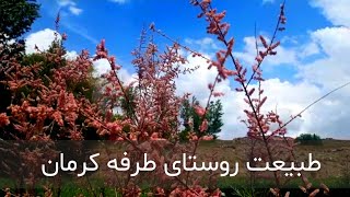 کشف زیبایی‌های نهان در روستاهای کرمان | شگفتی‌های بهاری روستای طرفه کرمان در سفری به دنبال طبیعت