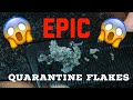 Thick & Large Quarantine Flakes | Scratchers Anonymous ASMR| Dandruff Flakes in Quarantine