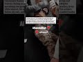 Pakistan's armed forces is the greatest armed forces in the world right now Alhamdulillah 🤲🥺❤