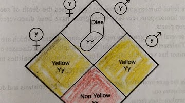 Lethal Genes | By Dr. Pragya Joshi