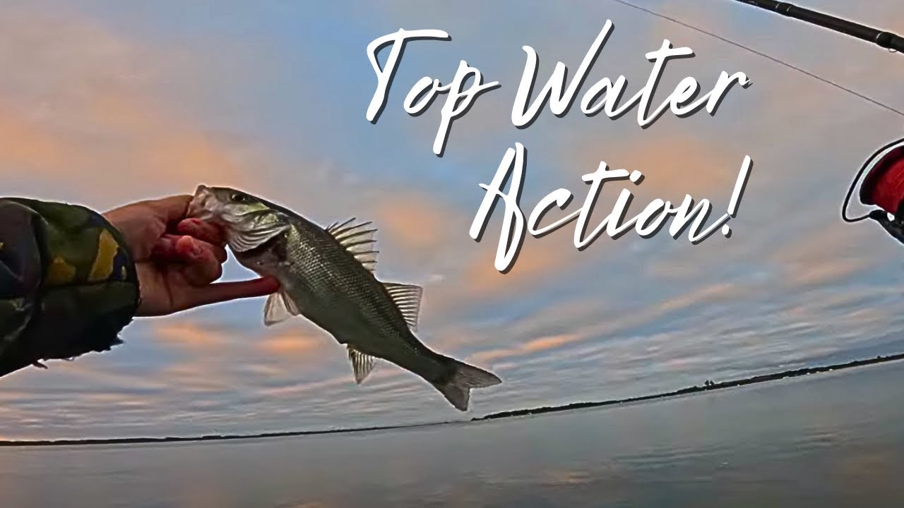 Bass Fishing a South Coast Harbour Using Top Water Lures