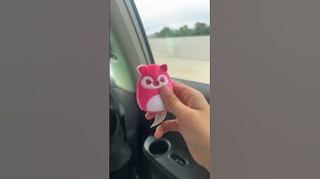 #squishmallows #squishmallowsquad #squishville