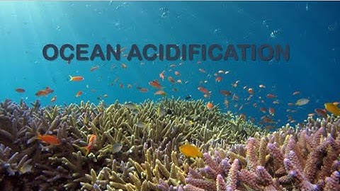 Ocean Acidification / UGC NET/JRF 2023 Paper 1  Unit-IX People, Development & environment
