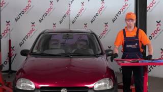 Išmontavimo Valytuvų gumelės OPEL - vaizdo vadovas