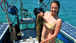 LAND OF PLENTY Fish, Wind and Uncharted Shoals!!!  Free Range Sailing Ep 125