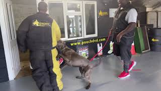 The difference between helper work and decoy work in personal protection training