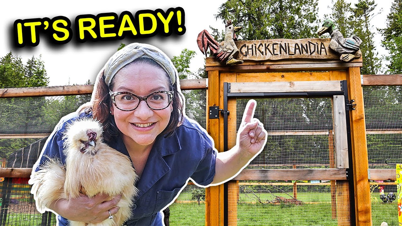 Tour My Dream Chicken Coop and Run (A Year in the Making!)