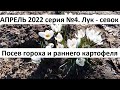 Апрель 2022, серия № 4 Посев гороха, лука севка и раннего картофеля в природном земледелии.