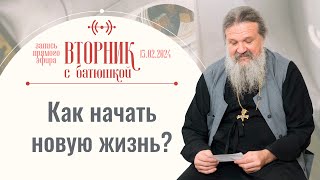 Легких Дорог В Этом Мире Не Будет. Вторник С Батюшкой. Беседа С Прот. Андреем Лемешонком 13.02.2024