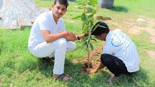 Tree Plantation Drive By Sankesh Global Foundation on Gandhi Jayanti