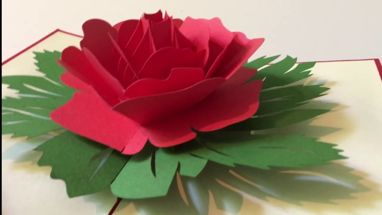 fl014 - 3d laser pop up card flower garden rose