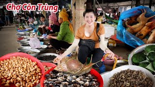 Chợ côn trùng gần biên giới độc đáo nhất Tây Bắc  Người dưới xuôi nhìn đã sợ