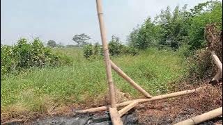 VID20241006130340 ssttss aahh aahh hah