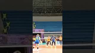Smas Popsivo Polwan vs Electric PLN#proliga#grandfinal#short#