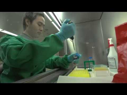 Biological safety cabinet (BSC) 4: Incident management - Biological safety cabinet (BSC) 4: Incident management