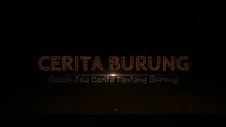Intro Cerita Burung screenshot 2