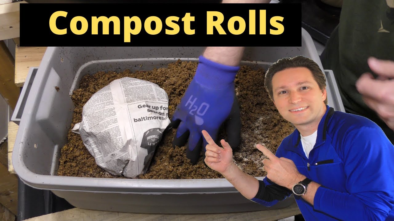 Making Compost Rolls for the Worm Bin - YouTube