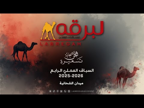 البث المباشر منافسات الحقايق العامة السباق المحلي الرابع ميدان الشحانية مساء 03 11 2025