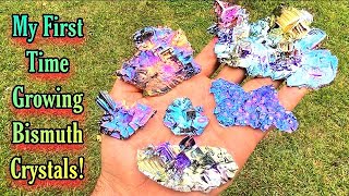 Making Rainbow Bismuth Crystals | Grow Your Own from Scratch! | DIY