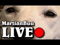 Marshie, Rafaam and More!
