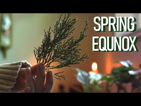 Video: Spring Equinox Party - Yuav Ua Li Cas Ua Kev Zoo Siab Caij Nplooj Ntoos Hlav Hauv Lub Vaj