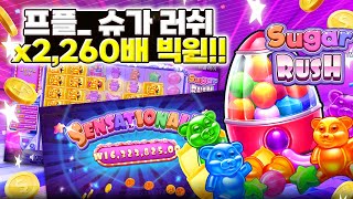 [슬롯][슬롯커뮤니티][슬롯버프]🧸프라그마틱 슈가 러시 x2,260배 당첨!!🧸 #슬롯실시간 #온라인슬롯 #슬롯방송 #슬롯잭팟#pragmaticplay screenshot 3