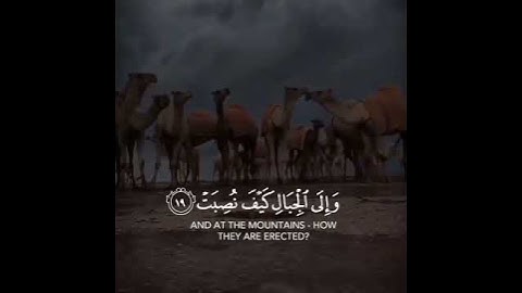 اكتب شئ تؤجر عليه 🤍🤍تلاوه هادئه مريحه للقلب