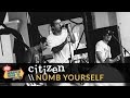 Citizen - Numb Yourself (Live 2015 Vans Warped Tour)