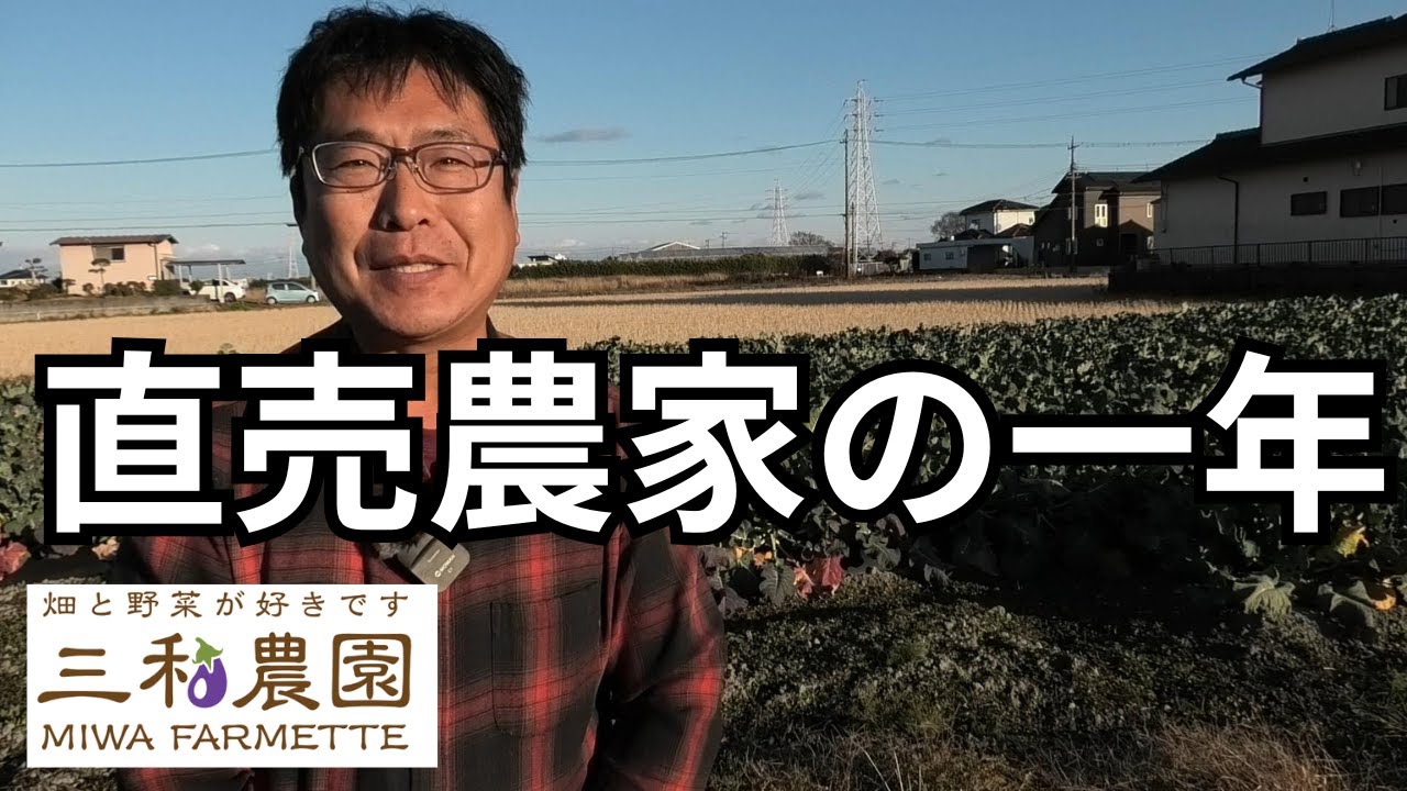 2025 Final Report] Cabbages destroyed, typhoon damage, and the