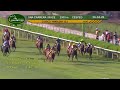 2026 Gran Premio Pamplona: Se Va Colando