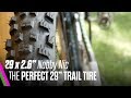 29 x 2.6 Schwalbe Nobby Nic REVIEW | THE PERFECT 29" TRAIL TIRE | Plus goes minus?