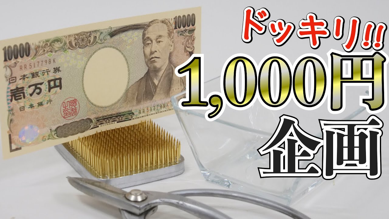 【初心者】「スーパーのお花」の選び方＆綺麗に飾るポイント！【生け花】