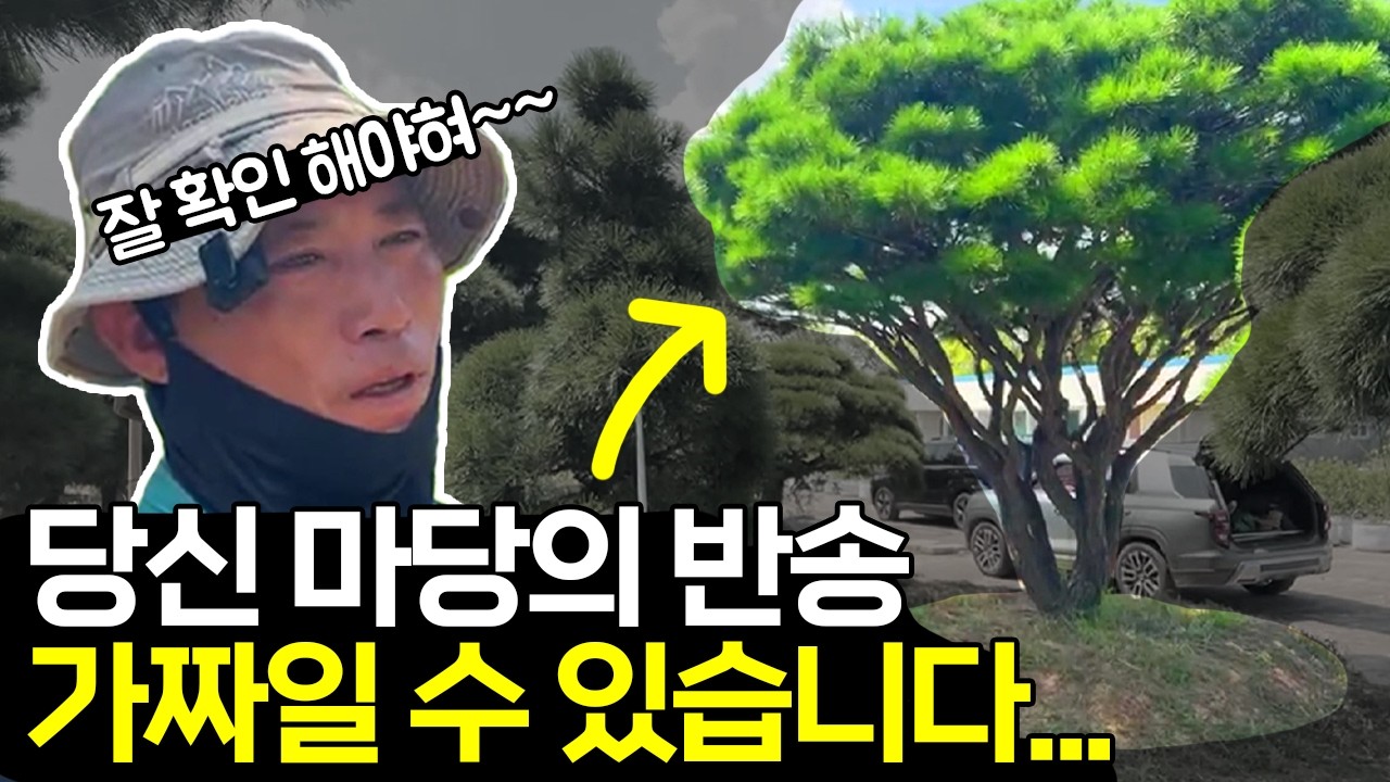 진짜 반송, 가짜 반송. 초간단 구별법! (반송은 사실 종류가 3개!?)