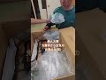 ファンからのプレゼントで先輩柊にイジられる新人大輝。 #ゴールデンレトリバー子犬