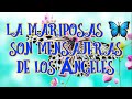 #LASMARIPOSAS 🦋 SON MENSAJERAS DE LOS ÁNGELES😇💞 -poseen un significado espiritual muy sorprendente-