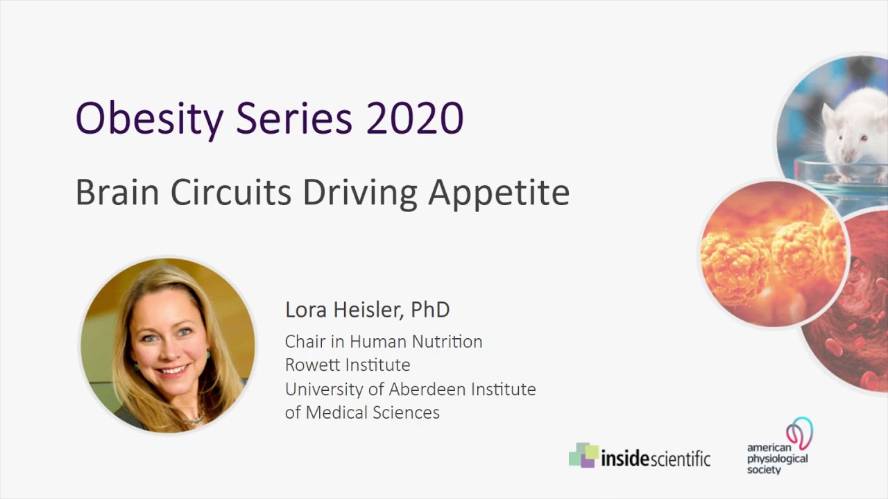 Brain Circuits Regulating Appetite: Leptin, Serotonin & Melanocortins