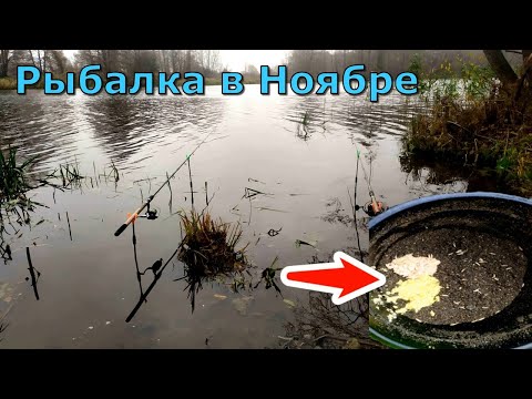 Рыбалка в Ноябре. Клюёт на страные насадки. Осеннняя рыбалка в Беларуси.