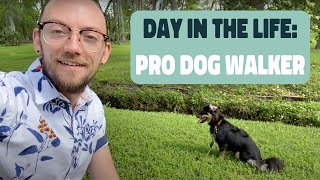 Day in the Life of a Dog Walker w/ Pro Dog Walker Tips!