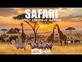 Safari 4K: Ultimate Wildlife Adventure in the Heart of Africa